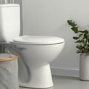 White toilet in bathroom next to plant