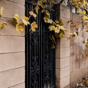 Cinder Block Wall With Leaves