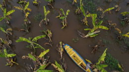 Aftermath of flooding in Brazil’s Amazonas state