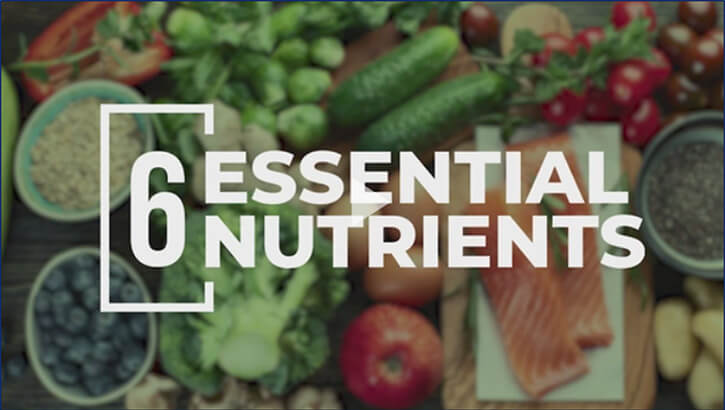 6 Essential Nutrients