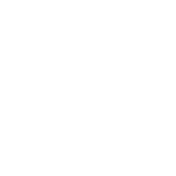 Pinterest Icon