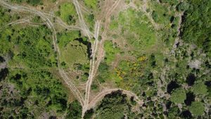 Aerial view of paths in a rural area.