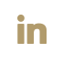 LinkedIn icon