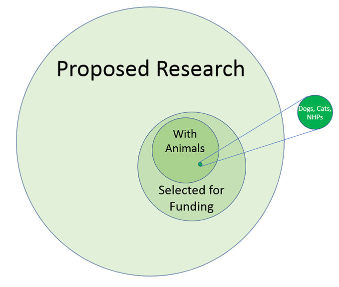 VA research with animals