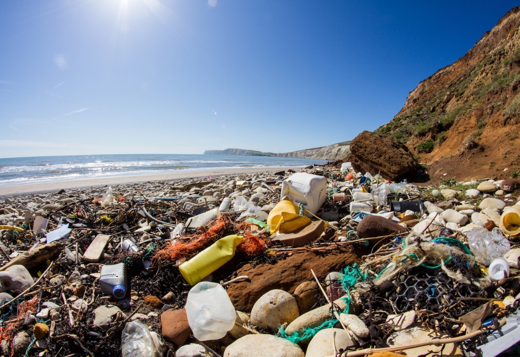 Plastic waste washed up on a sunny beach