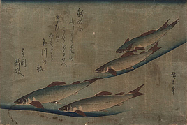 Four brown fish swimming near each other, with Japanese characters in the background.