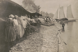 A long row of men and women hold a net full of small fish. Sail boats are in the background.