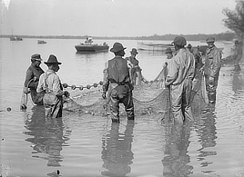 Seven men standing in a circle in knee-deep water are holding a net under the water.