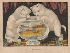 Two white cats sticking their paws inside a small round fishbowl, where two goldfish swim.