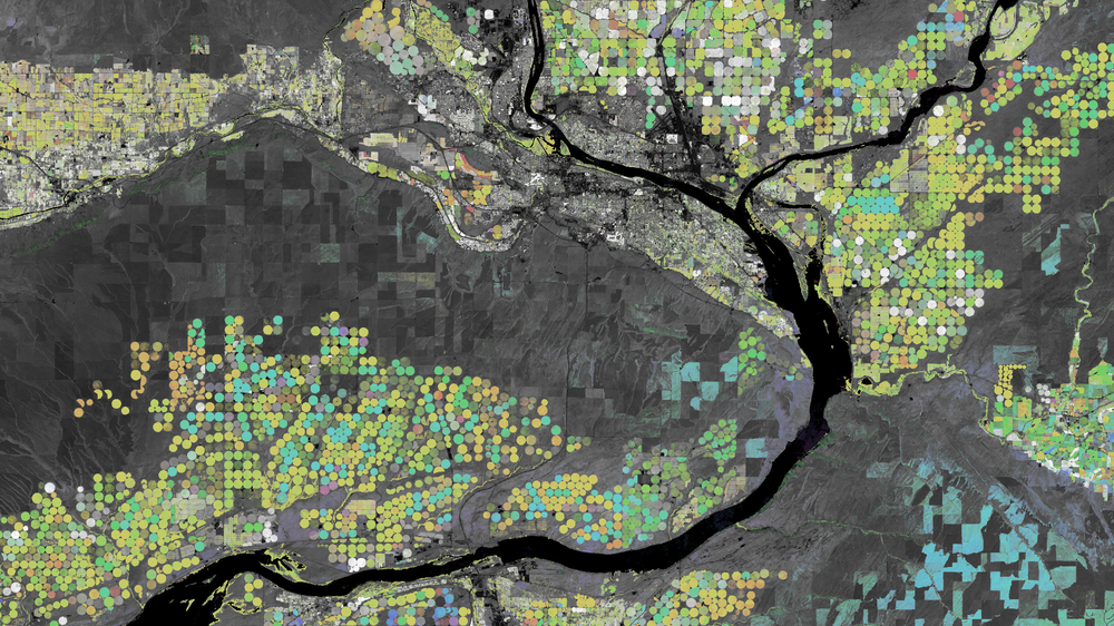 
                    
                      Satellite derived Earth Engine image showing seasonal agricultural peaks near the Columbia and Snake Rivers in Washington state. The perfectly round fields are center pivot irrigated corn and soy maturing in different months.
                    
                  