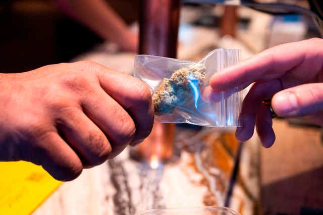 <p>The Dutch government decided to tolerate small amounts of cannabis possession for recreational use </p>