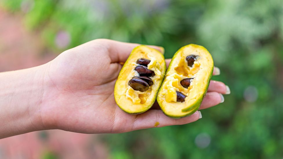 The fruit's texture has been compared to custard, and the flavour is a combination of banana and mango. (Credit: krblokhin/Getty Images)