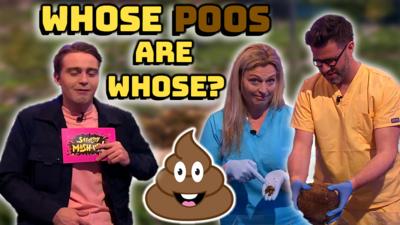 Saturday Mash-Up! - The Pets Factor play whose poos are whose?