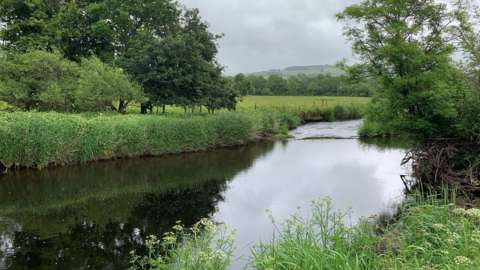 river teifi nr cwmann