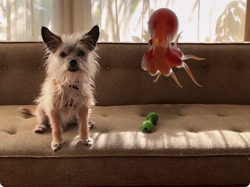 A small dog with big ears sits on a tan couch with a 3D octopus floating in the air next to him.