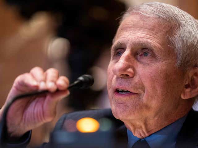 <p>In this file photo taken on May 17, 2022 Dr Anthony Fauci testifies during a Senate Appropriations Subcommittee hearing </p>