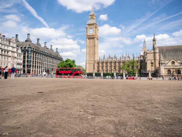 <p>The ground in Parliament Square appears dried-out and cracked as the UK experiences a heatwave</p>