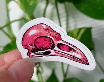 Pink bird skull sticker, vinyl sticker, taxidermy sticker, laptop decal, crow skull sticker