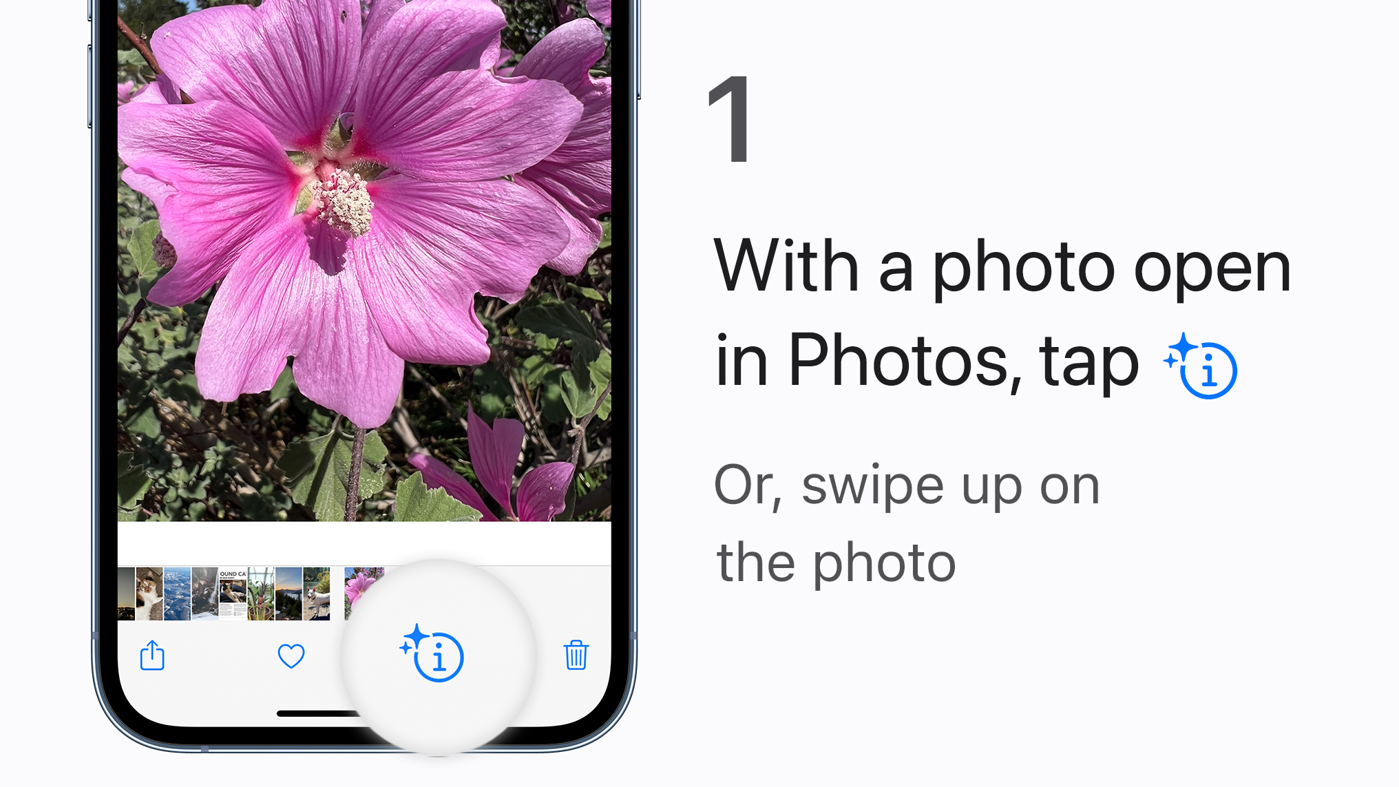 Step 1:
With a photo open in Photos, tap the Detected item info button at the bottom of the screen. Or, swipe up on the photo.