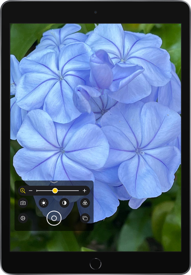 L’écran de la loupe affichant une fleur en gros plan.