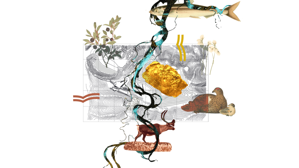 Collage: a topographic map of a mine with a blueberry bush sprig, a rainbow smelt, a ptarmigan and two chicks, and a caribou surrounding it, with a gold nugget in the middle of the map and a river running through the center