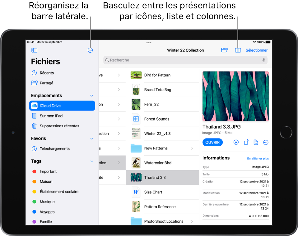 Un emplacement iCloud Drive affichant des boutons pour réorganiser la barre latérale, pour trier en fonction du nom, de la date, de la taille et des tags, et pour basculer entre la présentation par liste et la présentation par icônes.