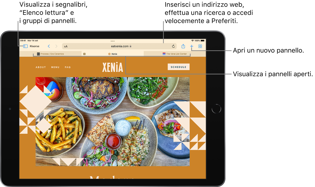 Una pagina web aperta. Lungo la parte superiore sono presenti, da sinistra a destra, il pulsante della barra laterale, il titolo del gruppo di pannelli attualmente aperto, i pulsanti Precedente e Indietro, il campo di ricerca, il pulsante Condividi, il pulsante “Nuovo pannello” e il pulsante “Panoramica pannelli”.