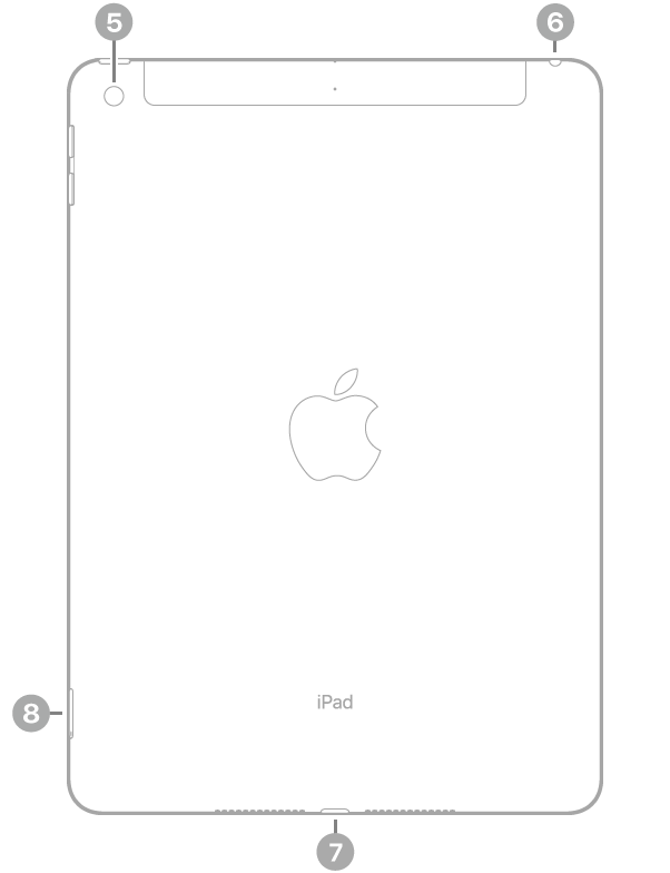 The back view of iPad with callouts to the rear camera at the top left, the headphone jack at the top right, the Lightning connector at the bottom center, and the SIM tray (Wi-Fi + Cellular) at the bottom left.