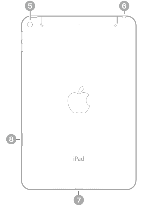 The back view of iPad mini with callouts to the rear camera at the top left, the headphone jack at the top right, the Lightning connector at the bottom center, and the SIM tray (Wi-Fi + Cellular) at the bottom left.