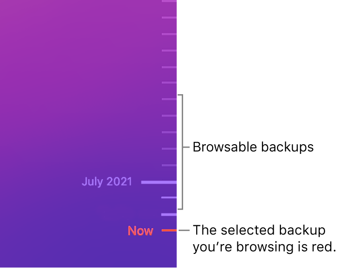 Tick marks in the backup timeline. The red tick mark indicates the backup you’re browsing.