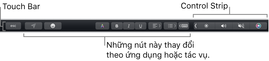 Touch Bar dọc theo cạnh trên cùng của bàn phím, đang hiển thị các nút thay đổi theo ứng dụng hoặc tác vụ ở bên trái và Control Strip được thu gọn ở bên phải.