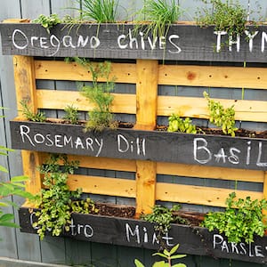 Pallet garden hung on fence