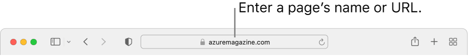 The Smart Search field, located in the middle of the Safari toolbar.