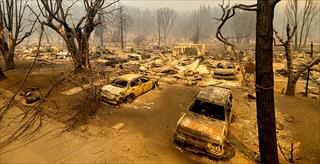 aftermath of a forest fire showing charred trees and cars