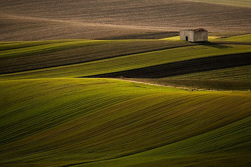 La vallata di Poggiorsini vista nel dettaglio.jpg