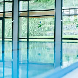 A swimming pool with its enclosure