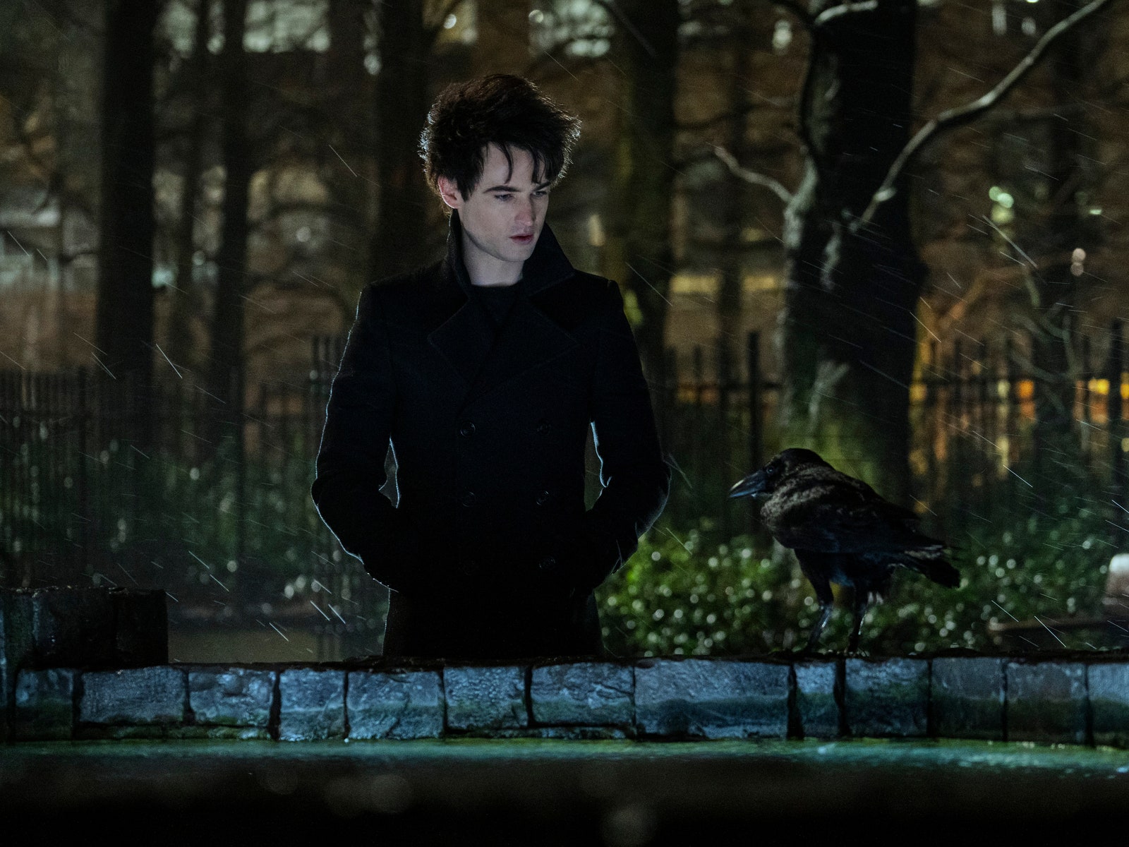 Tom Sturridge in The Sandman.nbsp