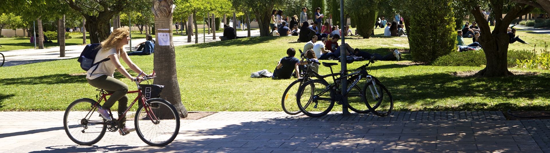  VIDA  EN EL CAMPUS