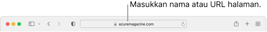 Medan Carian Pintar Safari, tempat anda boleh memasukkan nama halaman atau URL.