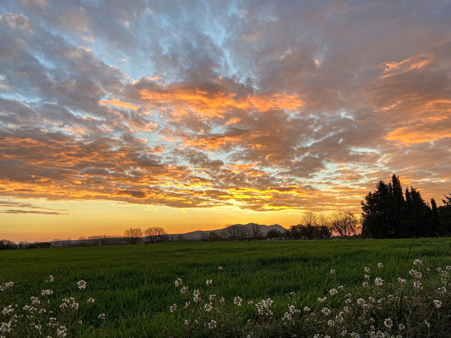 Sunset with clouds in yellow and orange tones over the countryside. Photo contributed by rafeljb to the WordPress Photo Directory.