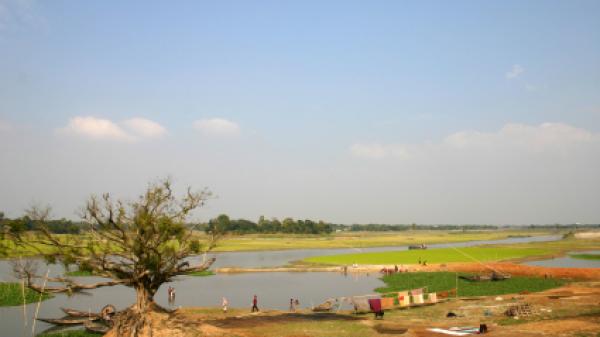 River and eroded tree, Bangladesh