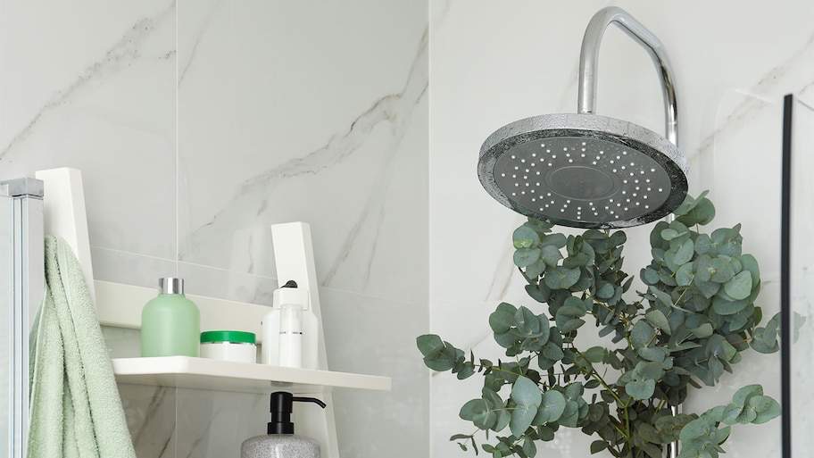 A view of a showerhead with eucalyptus