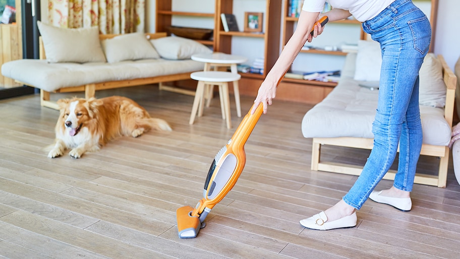 woman vacuuming home with dog