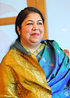 Shirin Sharmin Chaudhury.JPG