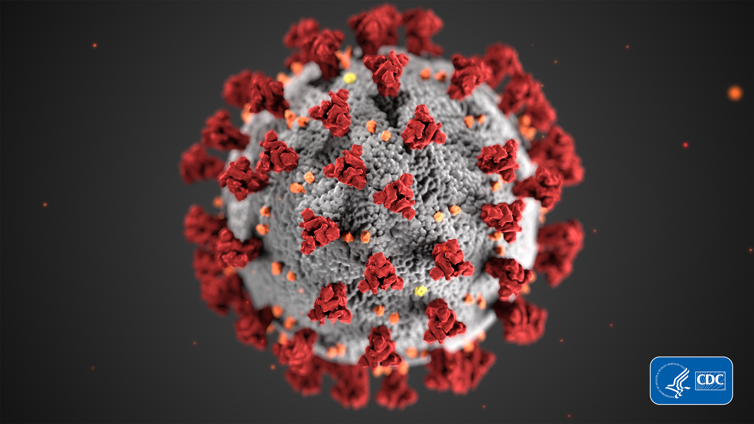 This illustration, created at the Centers for Disease Control and Prevention (CDC), reveals ultrastructural morphology exhibited by coronaviruses. Note the spikes that adorn the outer surface of the virus, which impart the look of a corona surrounding the virion, when viewed electron microscopically. A novel coronavirus, named Severe Acute Respiratory Syndrome coronavirus 2 (SARS-CoV-2), was identified as the cause of an outbreak of respiratory illness first detected in Wuhan, China in 2019. The illness caused by this virus has been named coronavirus disease 2019 (COVID-19). [CDC Image - Photo Credit: Alissa Eckert, MS; Dan Higgins, MAM]