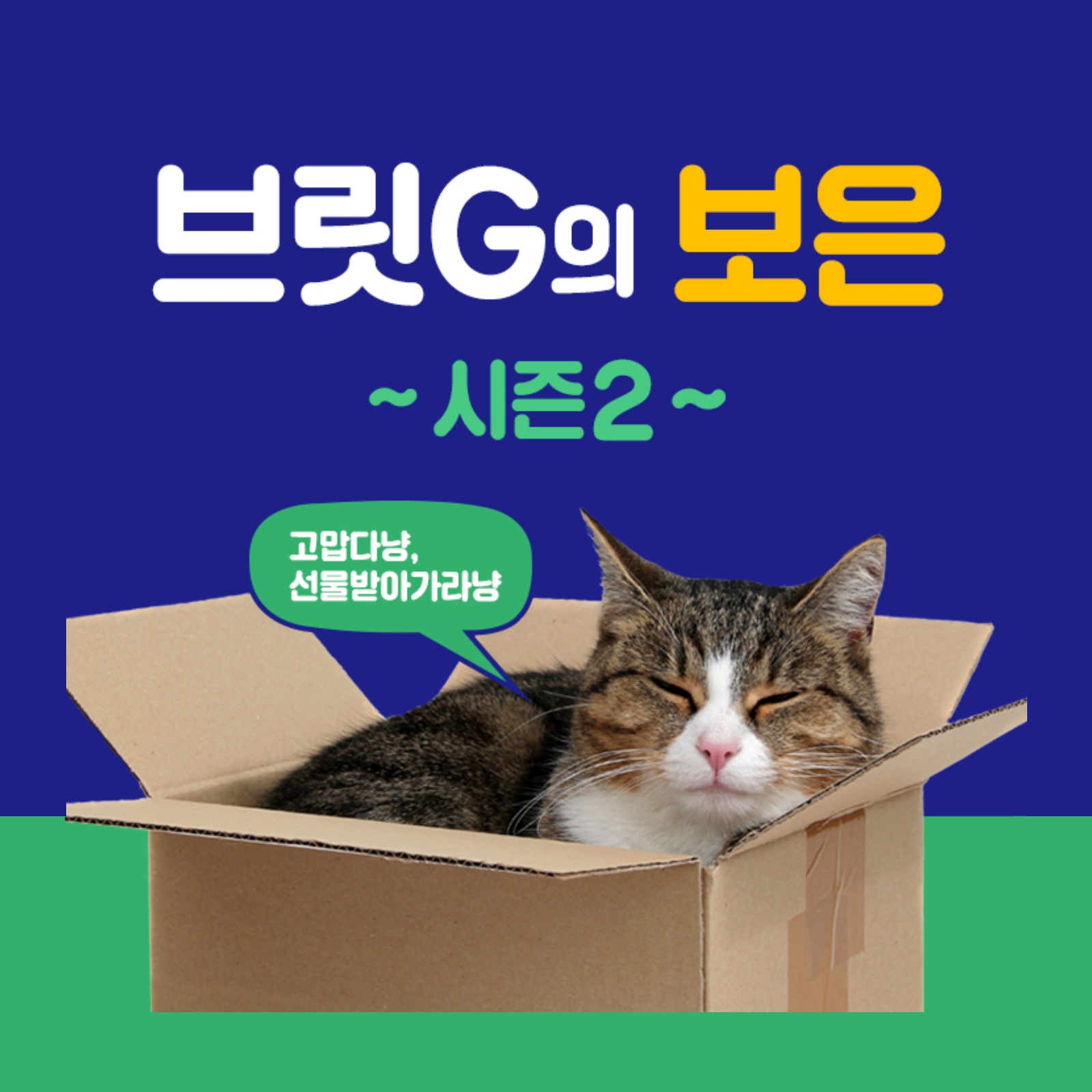 월간 브릿G의 보은