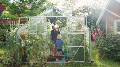 Mother and son working in green house