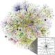 Map of the Internet