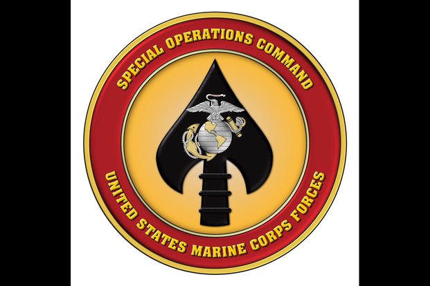 Appeals Court Resuscitates Charges Against Navy Corpsman in 'MARSOC 3' Case