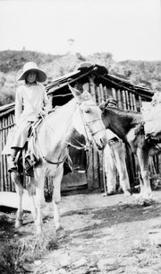 Mary Agnes Chase Collecting Plants, Brazil, Image ID 96-548.tif